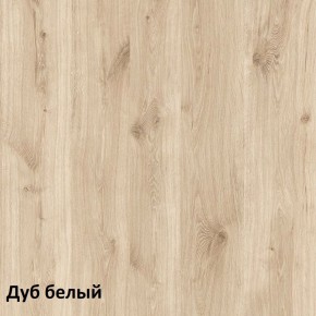 Эйп Шкаф для одежды 13.334 в Ижевске - izhevsk.mebel-74.com | фото