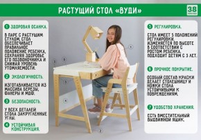 Комплект растущий стол и стул с чехлом 38 попугаев «Вуди» (Серый, Береза, Салют) в Ижевске - izhevsk.mebel-74.com | фото