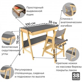 Комплект растущий стол и стул с чехлом 38 попугаев «Вуди» (Серый, Береза, Серый) в Ижевске - izhevsk.mebel-74.com | фото