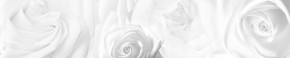 Кухонный фартук Цветы 217 МДФ матовый (3000) Flowers в Ижевске - izhevsk.mebel-74.com | фото