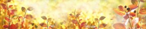 Кухонный фартук Цветы 318 МДФ матовый (3000) Flowers в Ижевске - izhevsk.mebel-74.com | фото