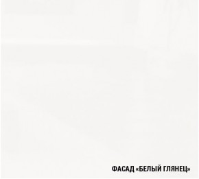 ТЕРЦИЯ Кухонный гарнитур Экстра 5 (3000 мм) в Ижевске - izhevsk.mebel-74.com | фото