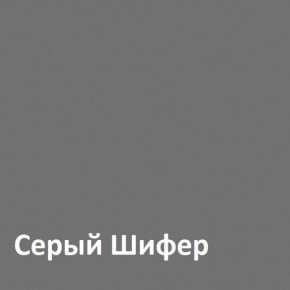 Юнона Шкаф торцевой 13.221 в Ижевске - izhevsk.mebel-74.com | фото